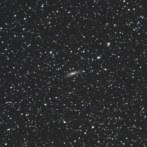 NGC2613