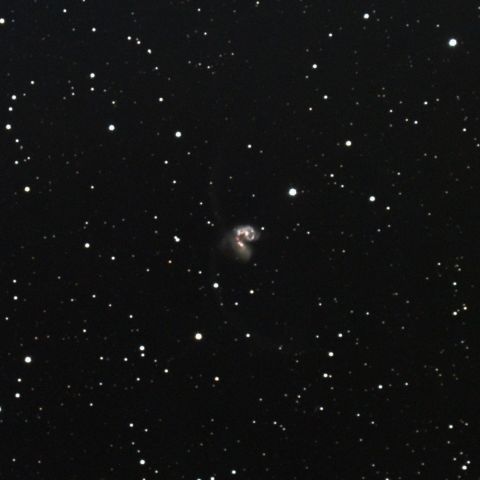 アンテナ銀河　NGC4038・NGC4039