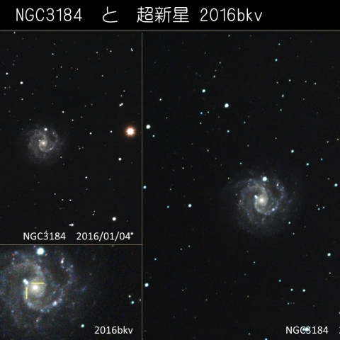 NGC3184 と 超新星 2016bkv