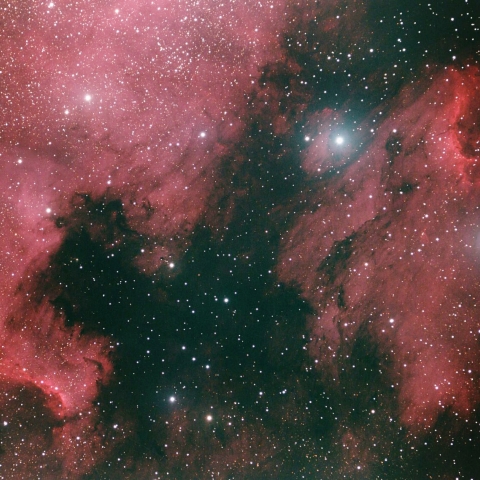 北アメリカ星雲・ペリカン星雲