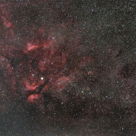 IC1318 サドル付近