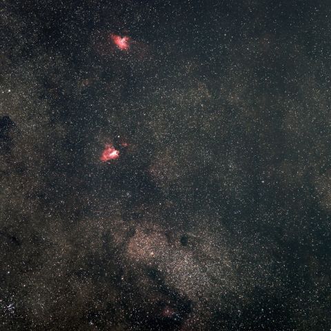 バンビの横顔と2頭の蝶