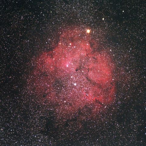 IC1396