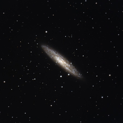NGC253