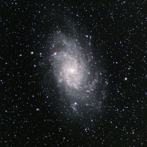 M33
