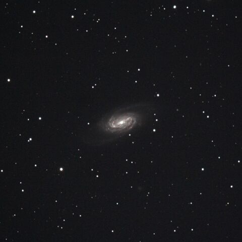 NGC2903　獅子の大鎌付近