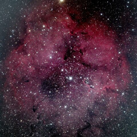 IC1396・ガーネットスター