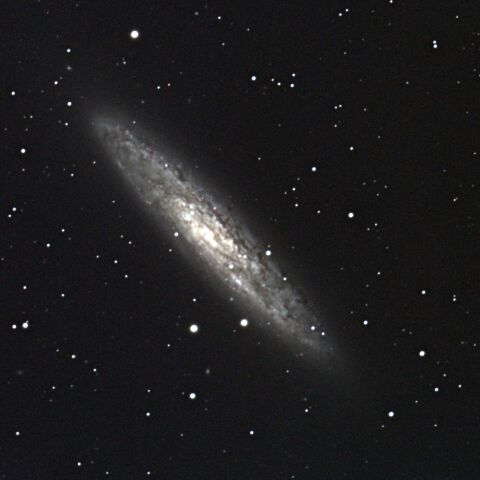 秋の南天銀河　NGC253