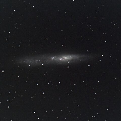 秋の南天銀河　NGC55