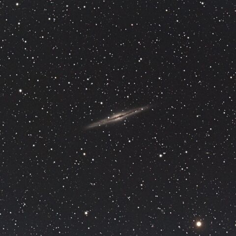 秋の銀河　NGC891
