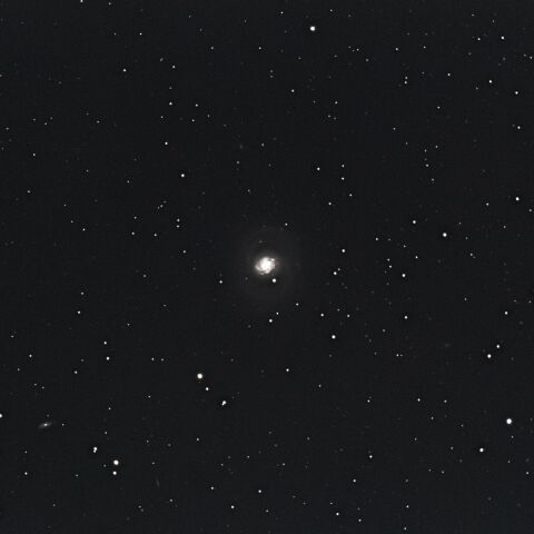 秋の南天銀河　M77　NGC1055