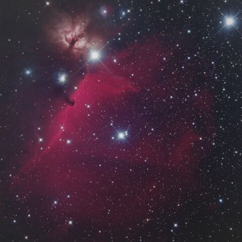 IC434・NGC2024