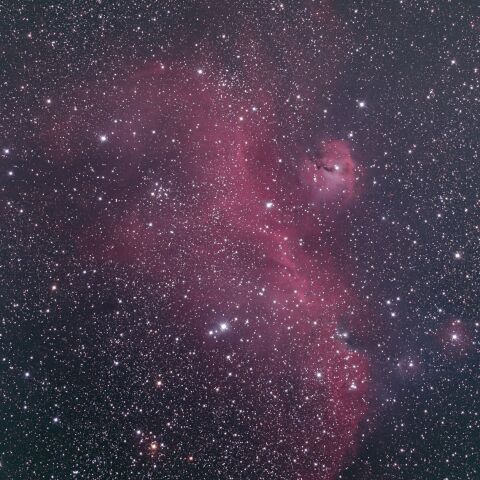 IC2177 わし星雲 カモメ星雲