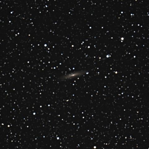 NGC2613 冬の南天銀河