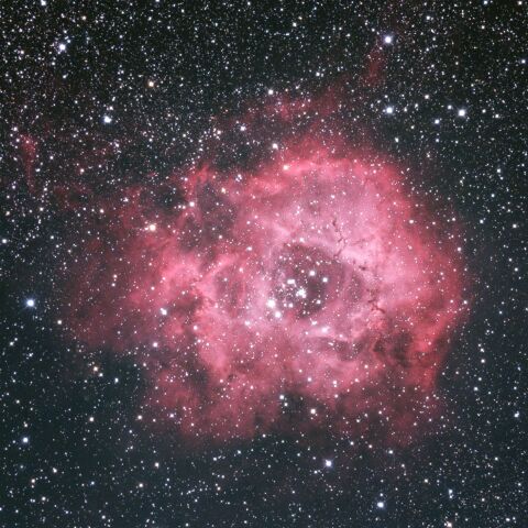 NGC2237 ばら星雲