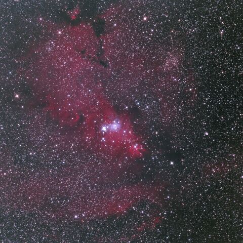 NGC2264・クリスマスツリー星団・コーン星雲