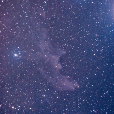 IC2118(魔女の横顔星雲)