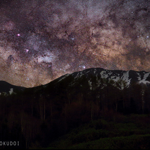 残雪の御嶽山とバンビの横顔