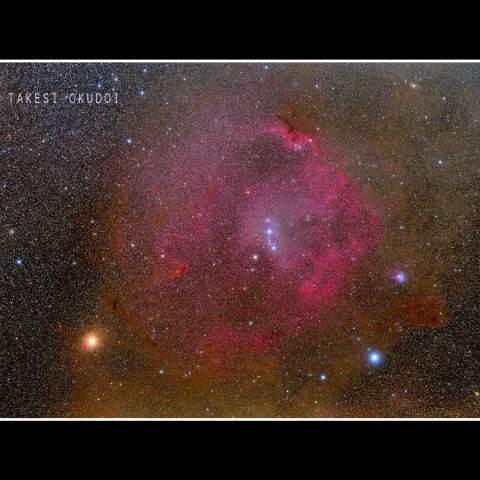 エンゼルフィッシュ Sh2-264