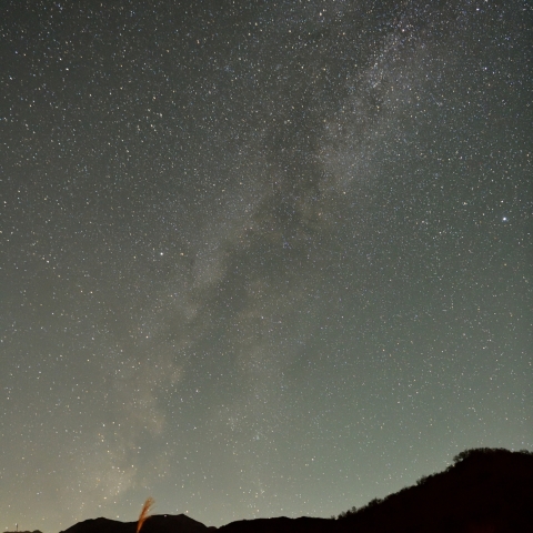 銀山平の星空