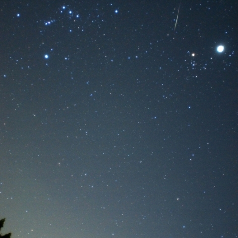 オリオン座とふたご座流星群