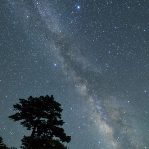 立ち上がる天の川