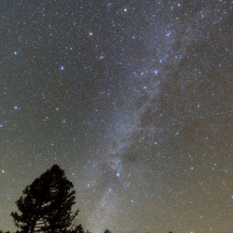 尾瀬沼で見る天の川
