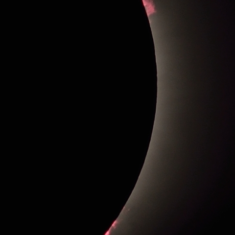 色鮮やかなプロミネンス