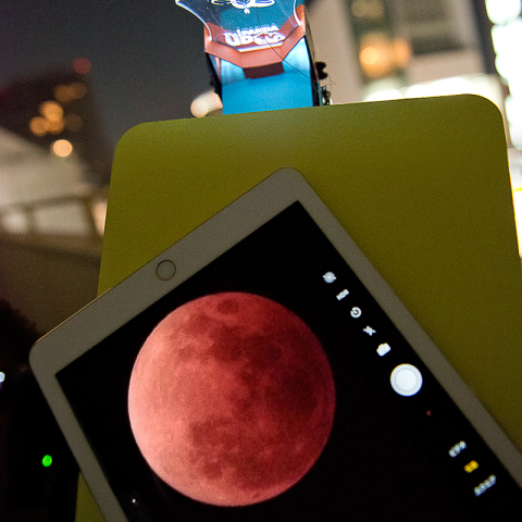 皆既月食TB観望