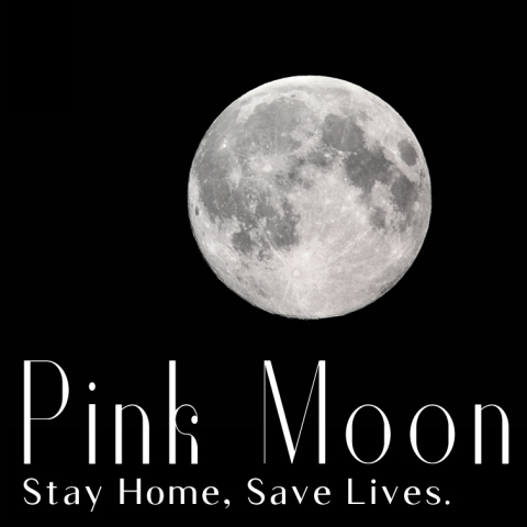 Pink Moon