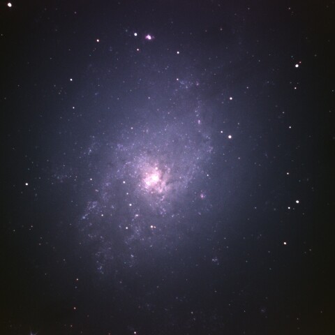 M33 