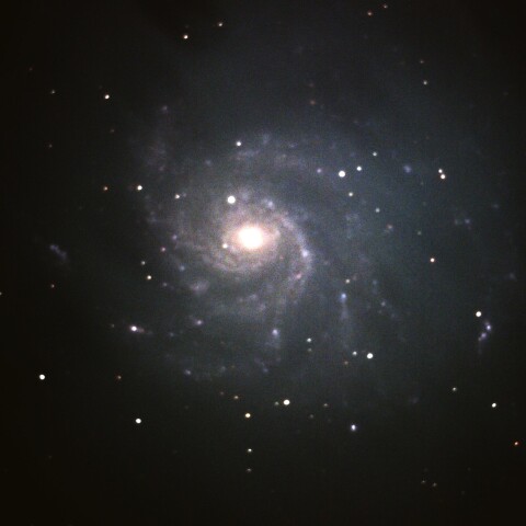 M101