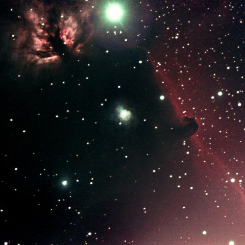 馬頭星雲、オリオン座