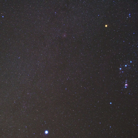 廉価版一眼で撮る星空～冬の大三角とオリオン～