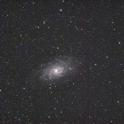 M33