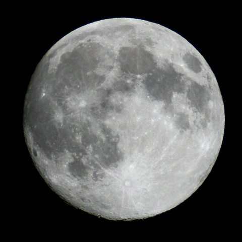 十五夜（満月の１日前）