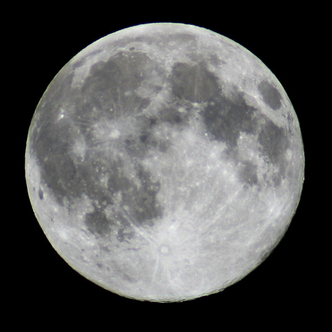 十五夜の翌日の月（満月）