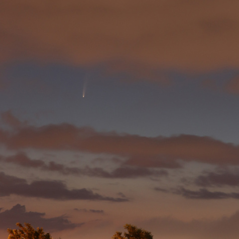 ネオワイズ彗星