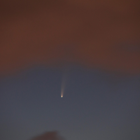 ネオワイズ彗星