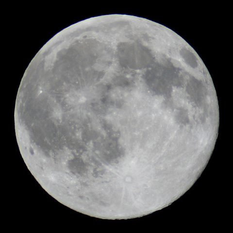 十五夜の翌日（満月）