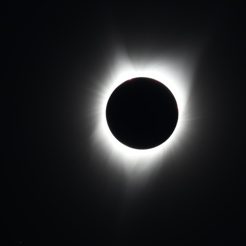 コロナとレグルス