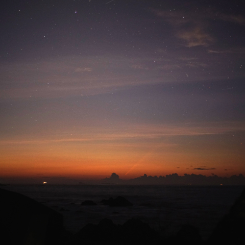 紫金山・アトラス彗星