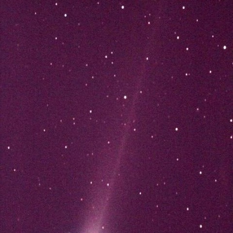 11/29 ラブジョイ彗星