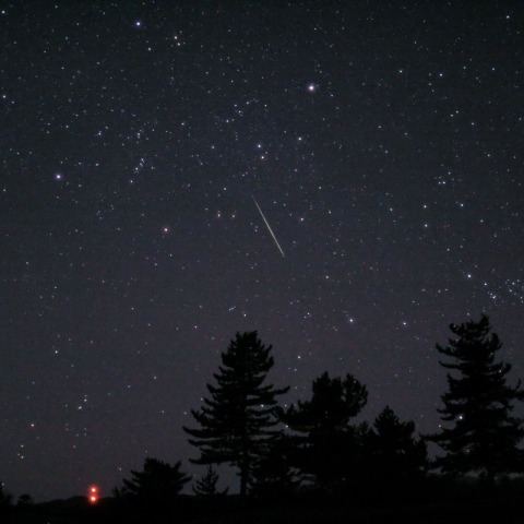 ふたご座流星群 2009 微速度撮影ムービー