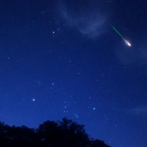 ペルセウス座流星群の実速度カラー動画