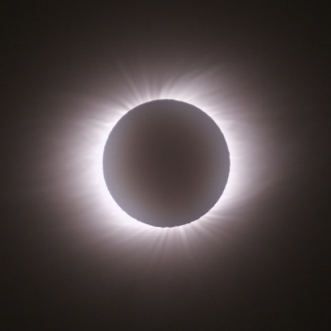 莫干山でのコロナ