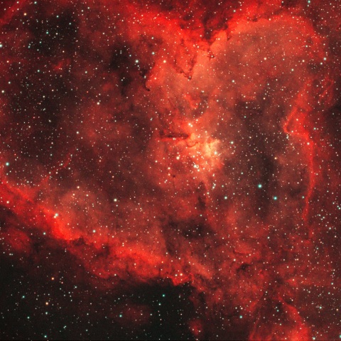 ハート星雲　IC1805 （カシオペア座）