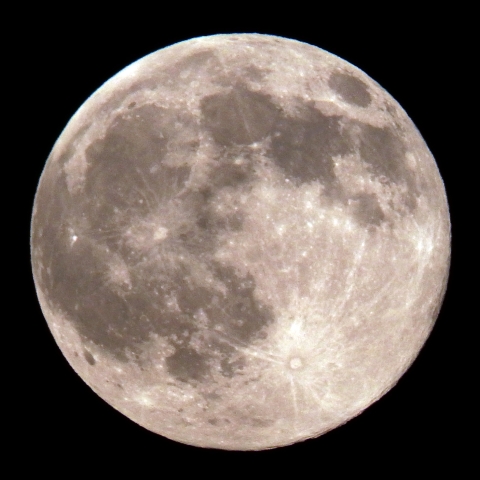 ブルームーン　7/31 19:44