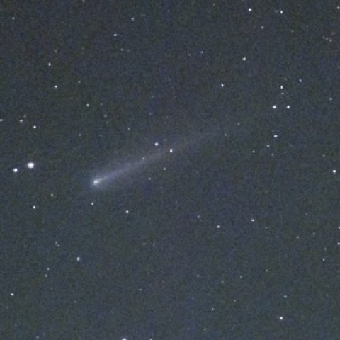 220P マクノート彗星