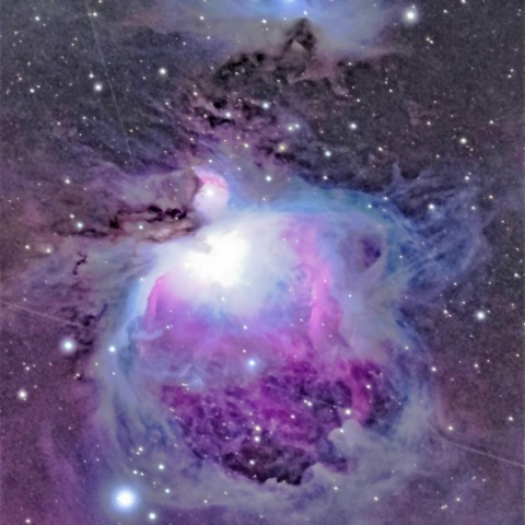 オリオン座　M42